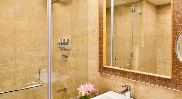 Двухместный номер Standard Four Points by Sheraton Srinagar