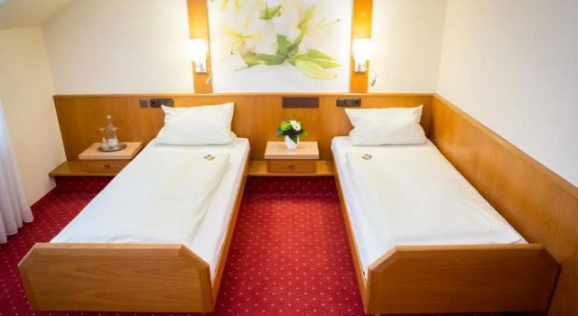 Одноместный номер Standard Gasthof-Hotel Harth