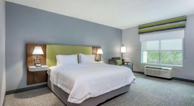 Номер Standard Hampton Inn & Suites Saraland Mobile