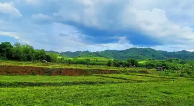 Mint Organic Farm Stay, Wangchin,Phrae, Buchen Sie Bauernhof Wang Chin Thailand