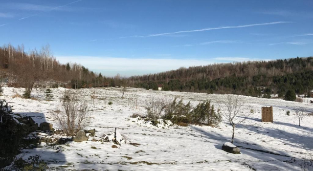 Vila Eden, Varaa Huoneisto Porumbacu de Sus 