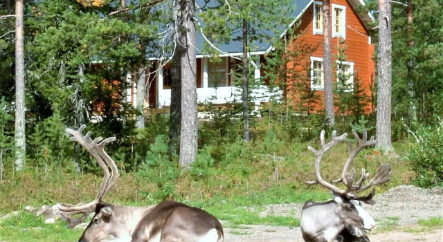 Шале Riekko Chalet