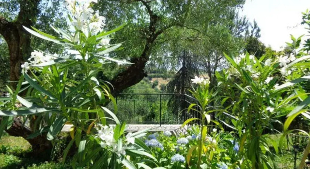 Villa Olcimia
