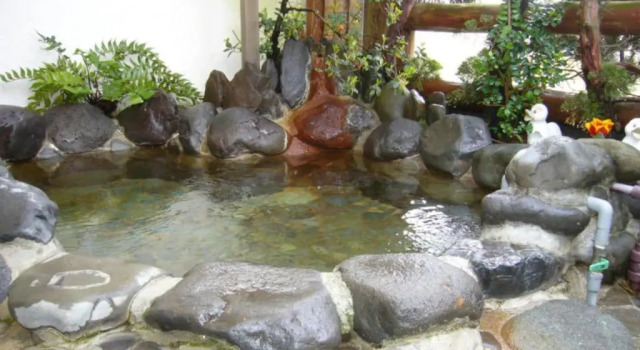 Номер Standard Seaside Resort Pension Surfrider