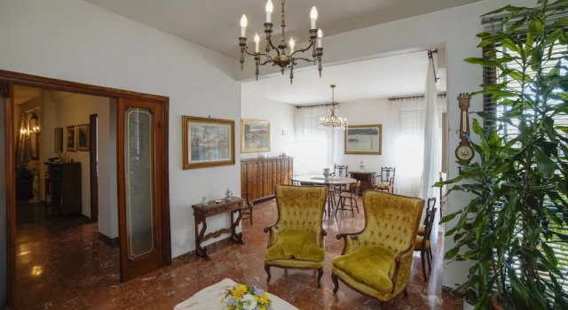 Lucy's House