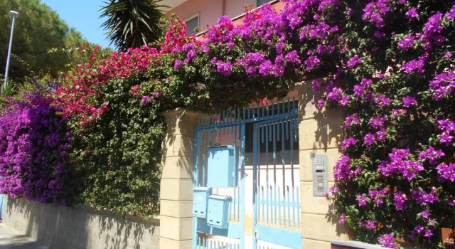 Lejlighed Casa Paradiso