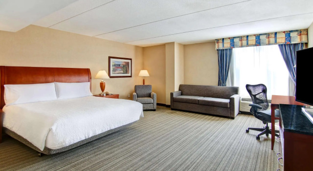 Двухместный номер Standard Hilton Garden Inn Toronto/Burlington