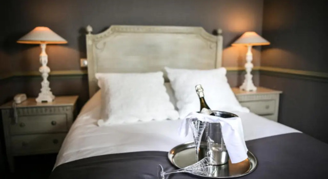 Двухместный номер Superior Hôtel Helvie