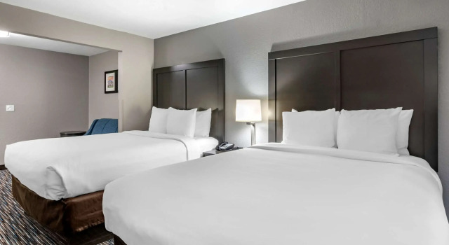 Четырёхместный номер Standard Comfort Inn & Suites