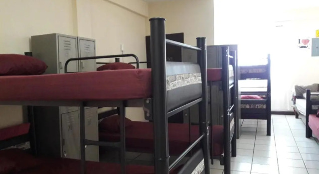 Кровать в общем номере (женский номер) Alme Hostel Playa del Carmen