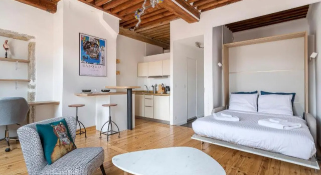 Janis - Studio vue sur les toits de Lyon - Appartement 2beapart