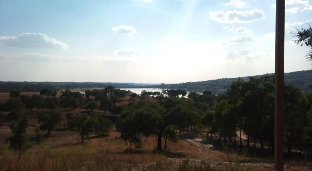 Бунгало Monte da Tojeirinha