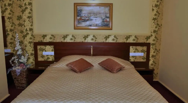 Двухместный номер Standard Hotel Botika