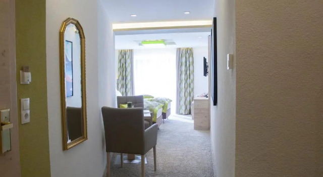 Номер Deluxe Hotel Neder