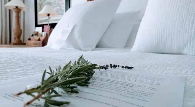 Двухместный номер Standard B Bou Hotel Cortijo Bravo