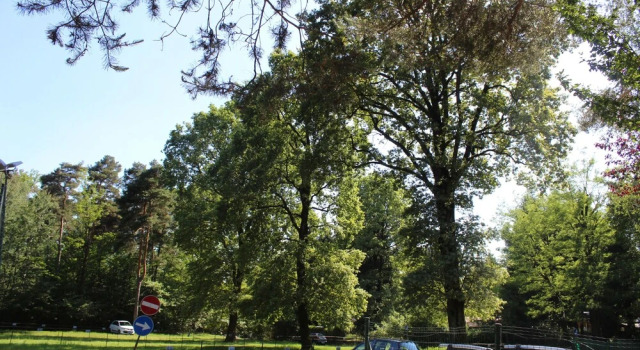Villaggio Turistico Sol&Verde, Забронировать Отель Горнате-Олона Ломбардия