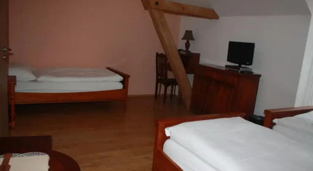 Трёхместный номер Standard Hotel Lony