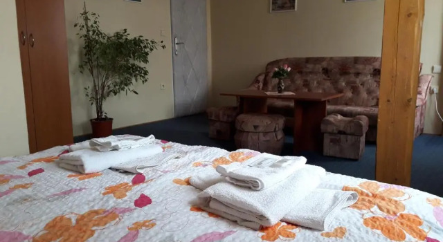 Двухместный номер Standard Hotel Alster