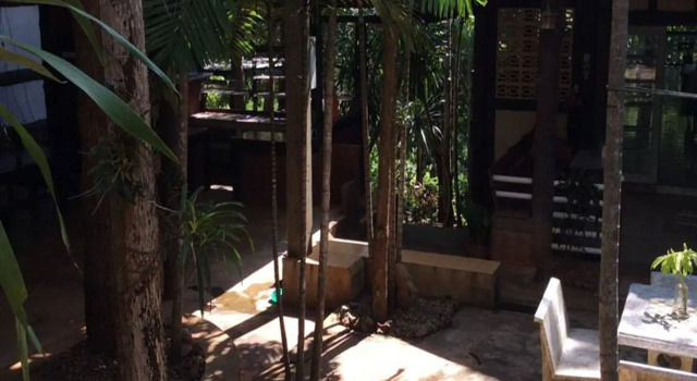 Sam's Jungle Guesthouse