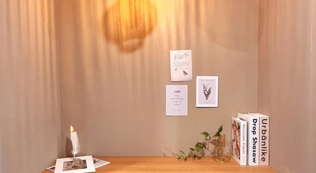 Deluxe kamer Raviens