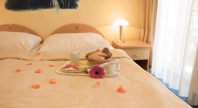 Двухместный номер Standard Wellness Hotel Jean De Carro