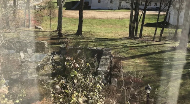 Двухместный номер Standard Spring Hill Inn