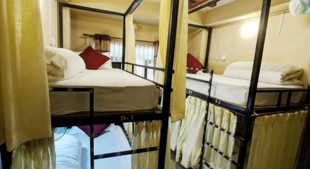 Кровать в общем номере (женский номер) Hotel Forest Lake Backpackers Hostel
