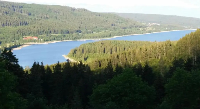 Студия Apartment im Schwarzwaldhaus