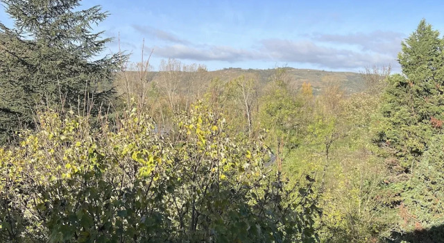 Номер Standard Domaine de Pipangaille
