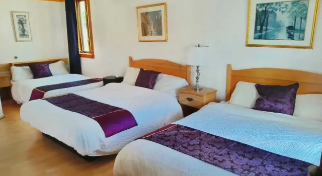 Standart aile oda Hotel - Motel Georges