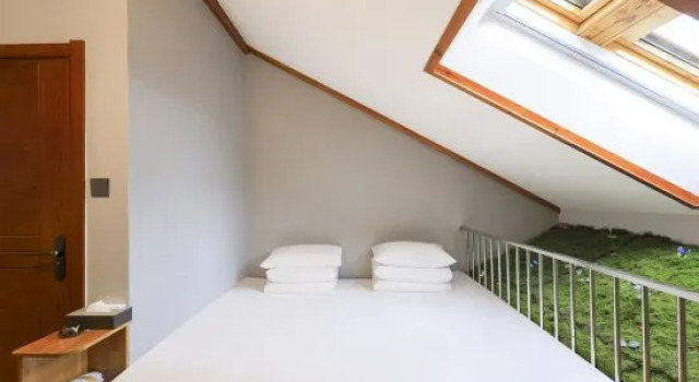 Люкс Standard O.live Social Hotel (Changbaishan Beipo Distribution Center)