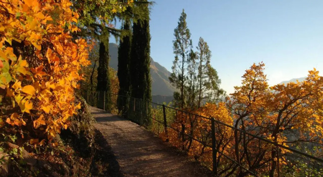 Weingut Messnerhof