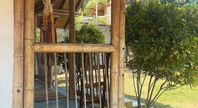 Кровать в общем номере (женский номер) с балконом и с видом на сад Tree of Life - Hostel