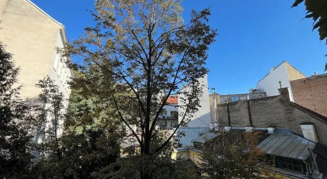 BIG Palm, Varaa Huoneisto Wien Itävalta