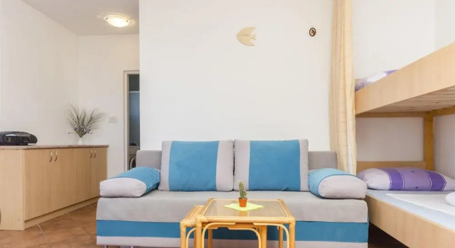 Apartment Branka