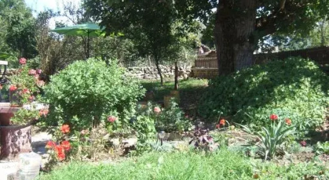 Vitanova Guest House
