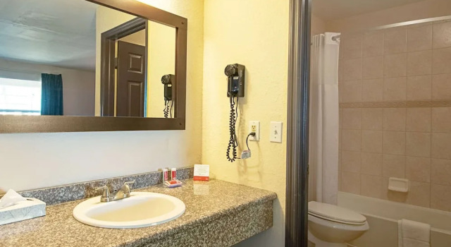 Люкс Econo Lodge Inn & Suites Clearwater Central