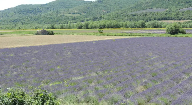Les Cigales dEstoublon, Prenota Hotel Estoublon 