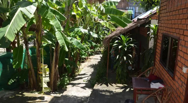 Ocean 11 Guesthouse