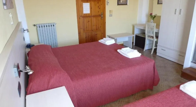 Standard Double room with balcony Hotel Alexander