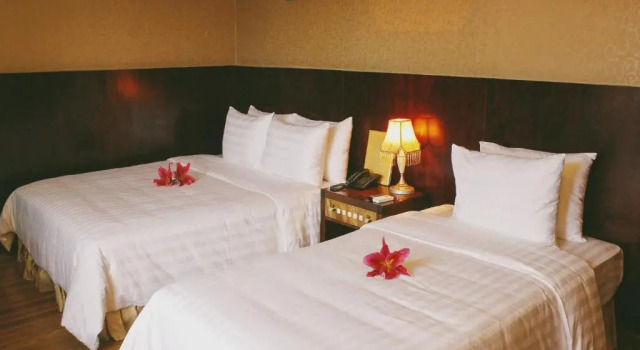 Двухместный номер Deluxe Cosiana Hue Hotel