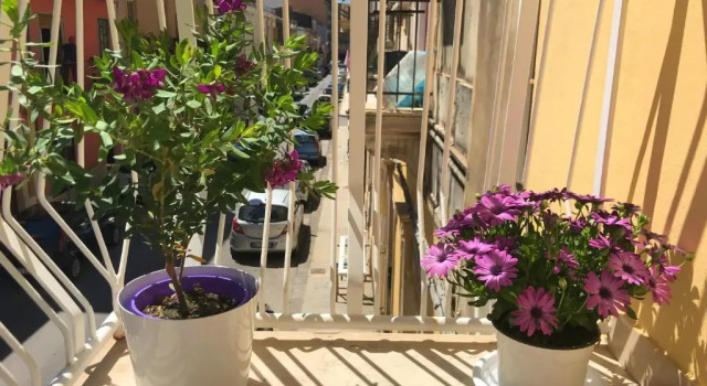 Апартаменты Casa Vacanze Terramare, 550 mt from the beach, close to Ortigia historic center