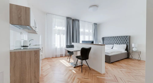 Двухместная студия Deluxe Gold Art Apartments