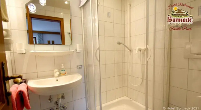 Номер Economy Hotel-Gasthof-Sonneck