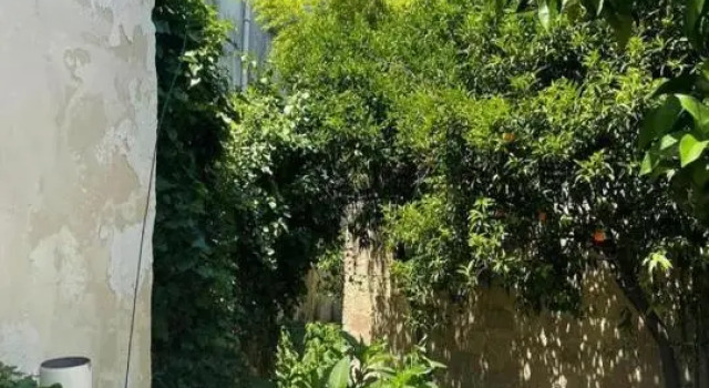 4 Balconi rooms-Paladini B&B
