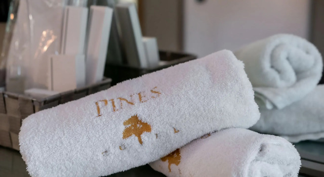Двухместный номер Superior Pines Hotel