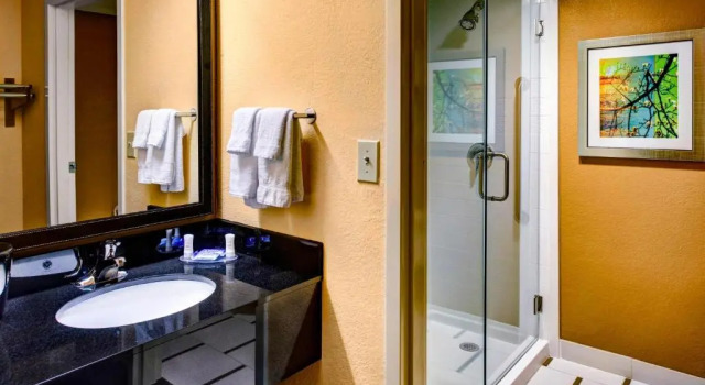 Номер Standard Fairfield Inn and Suites by Marriott Atlanta Suwanee