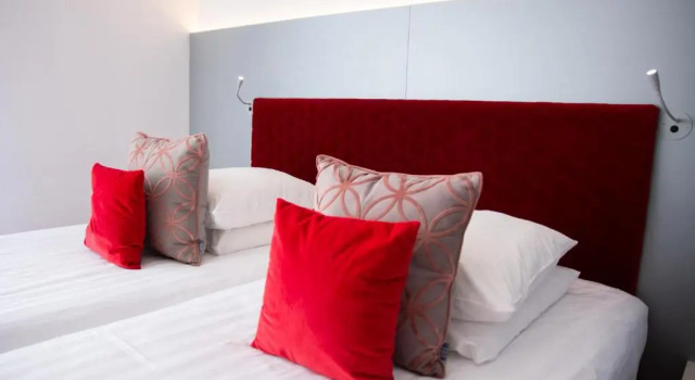 Ayrıcalıklı çift kişilik oda Colmar Hotel