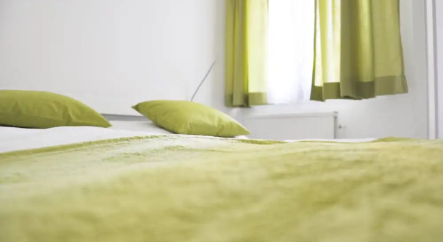 Traditional Apartments Vienna TAV