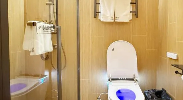 Люкс Deluxe Weston Hotel